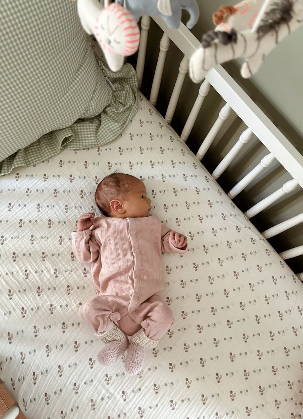 Cover Image for Life Lately: She’s Here!