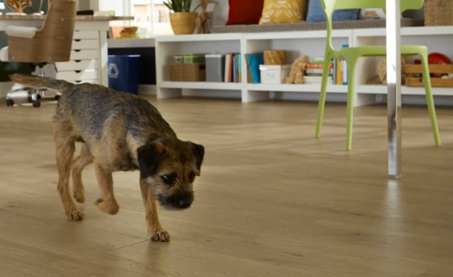 Cover Image for Mohawk Expands Eco-Friendly PureTech Flooring Line